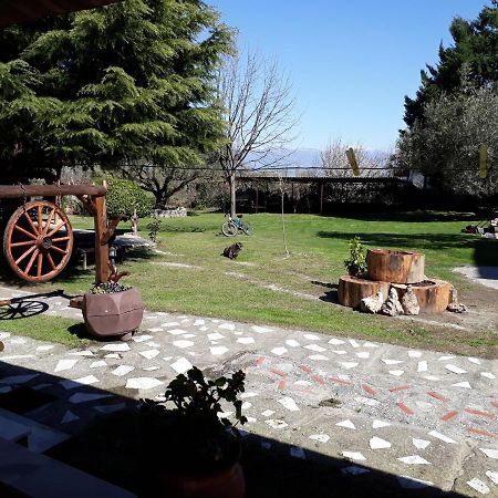 Galini Apartment Káto Loutrákion Екстериор снимка